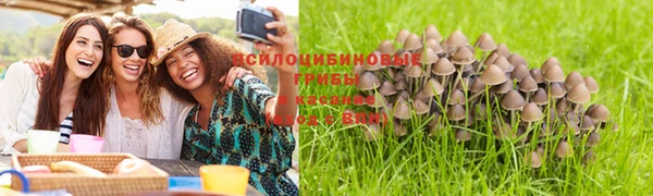 винт Верхний Тагил