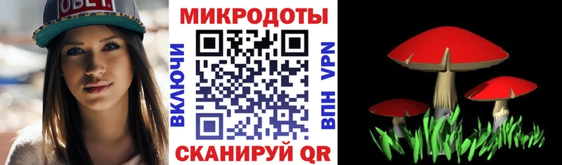 сколько стоит  Льгов  Галлюциногенные грибы Psilocybine cubensis 